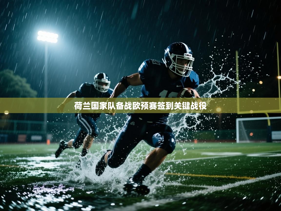 荷兰国家队备战欧预赛签到关键战役 第1张