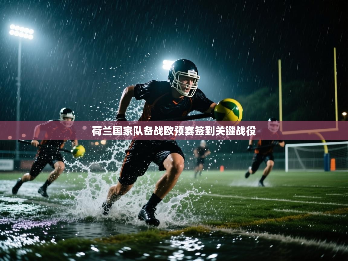 荷兰国家队备战欧预赛签到关键战役 第2张